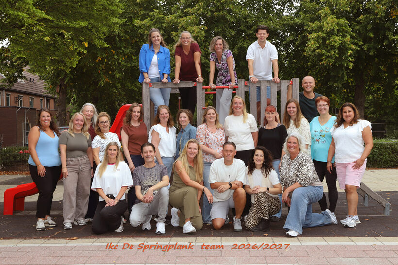springplankteamdigitaal